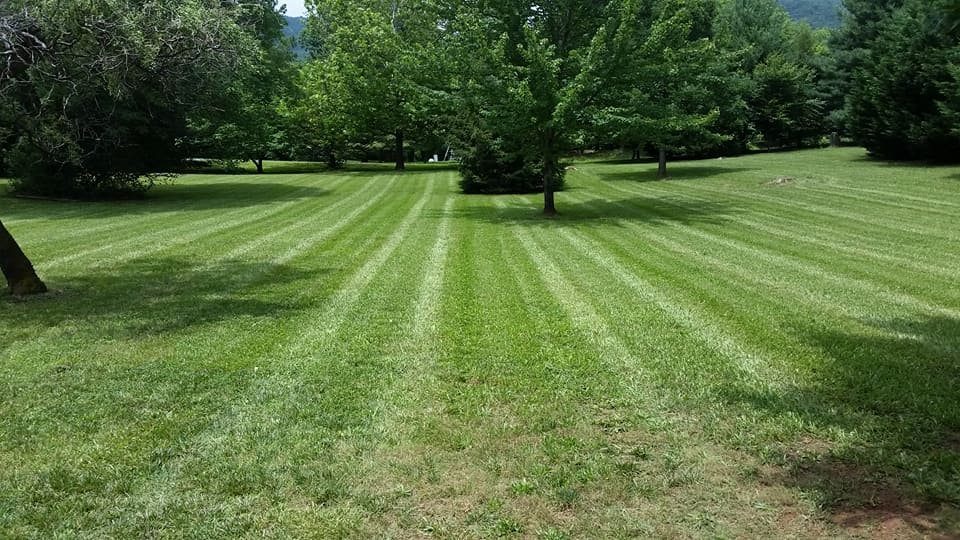 Pro Quality Property Maintenance Landscaping and Lawn Care